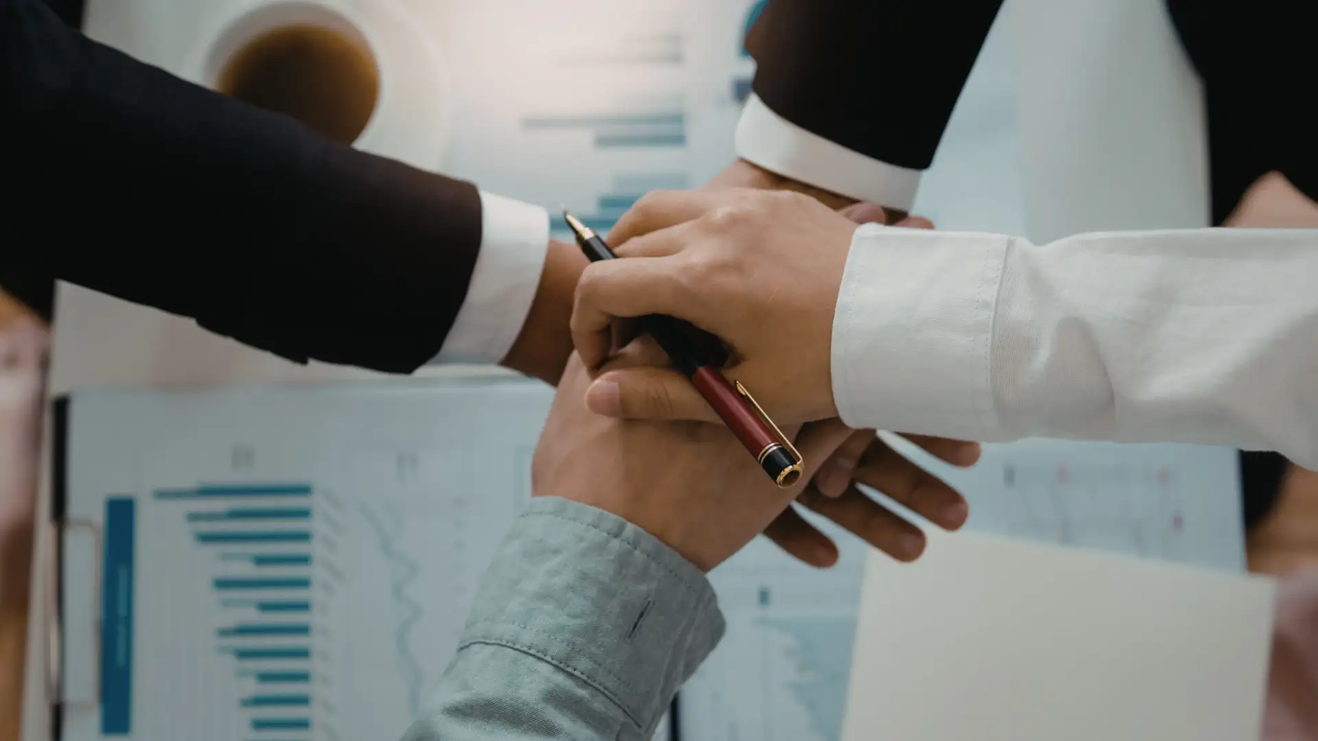 Partnership & Ecosystem Development